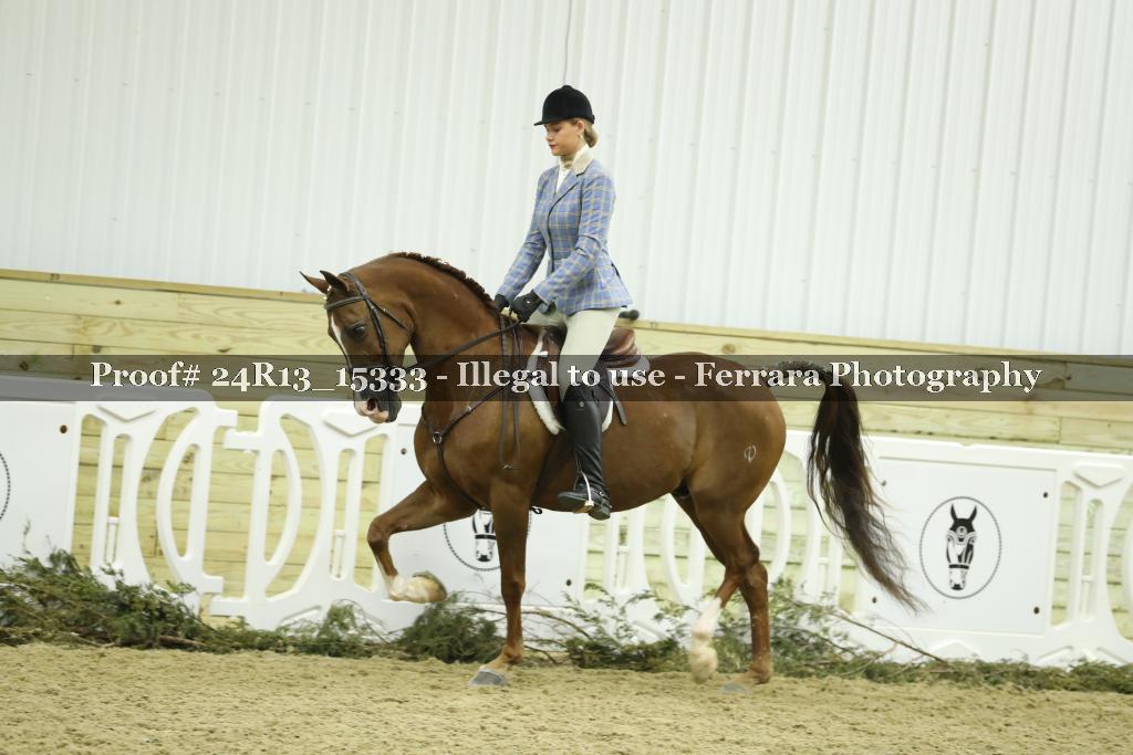 Proof 24R13_15333