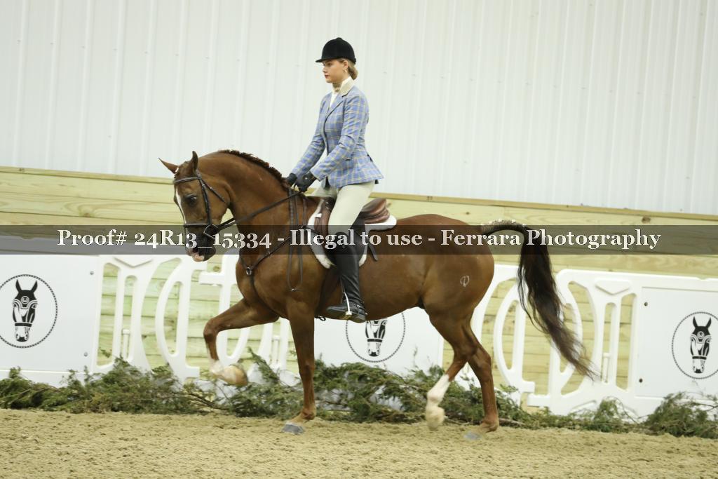 Proof 24R13_15334