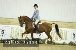 24R13_15334 proof