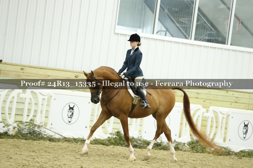 Proof 24R13_15335