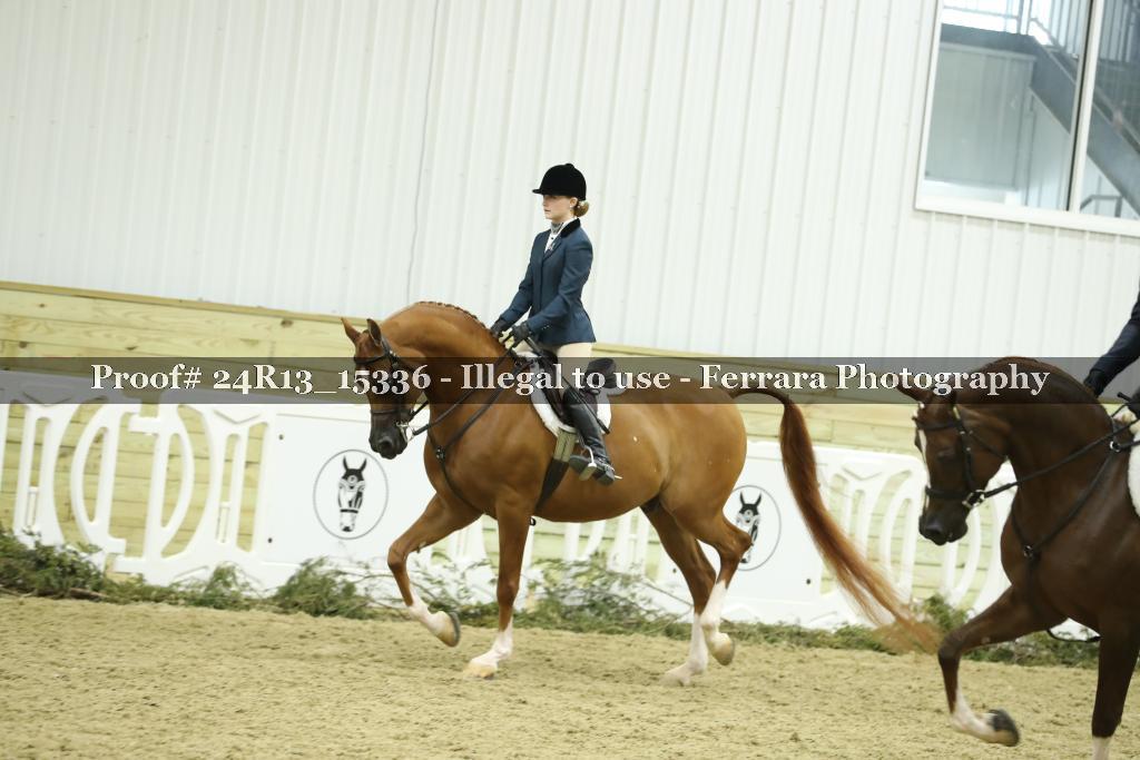 Proof 24R13_15336