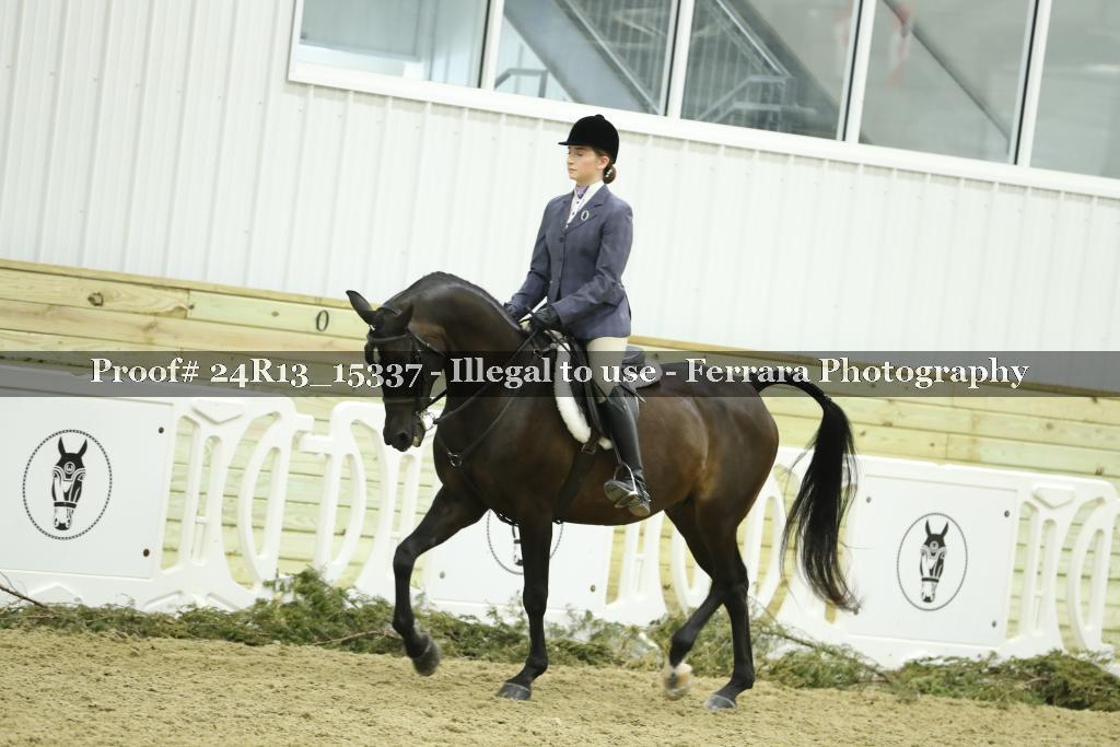 Proof 24R13_15337