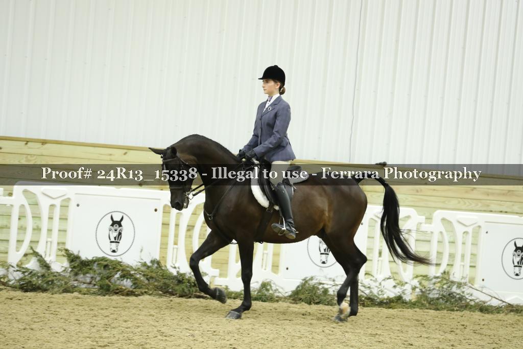 Proof 24R13_15338