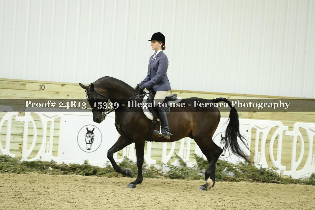Proof 24R13_15339