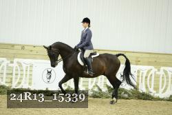 24R13_15339 proof