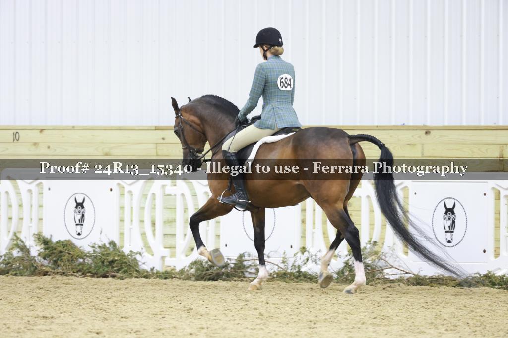 Proof 24R13_15340