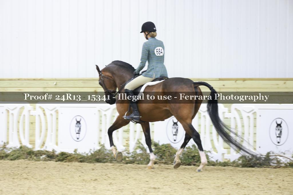 Proof 24R13_15341