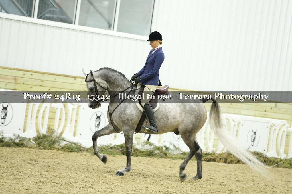 Proof 24R13_15342