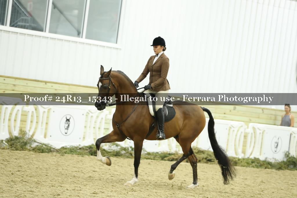 Proof 24R13_15343