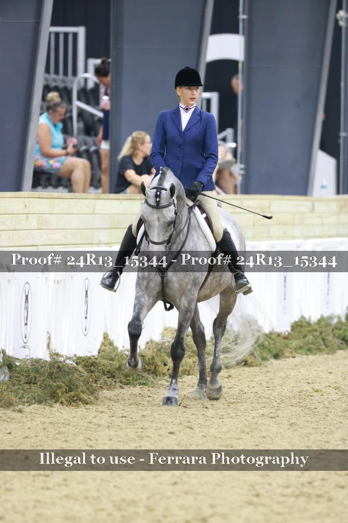 Proof 24R13_15344
