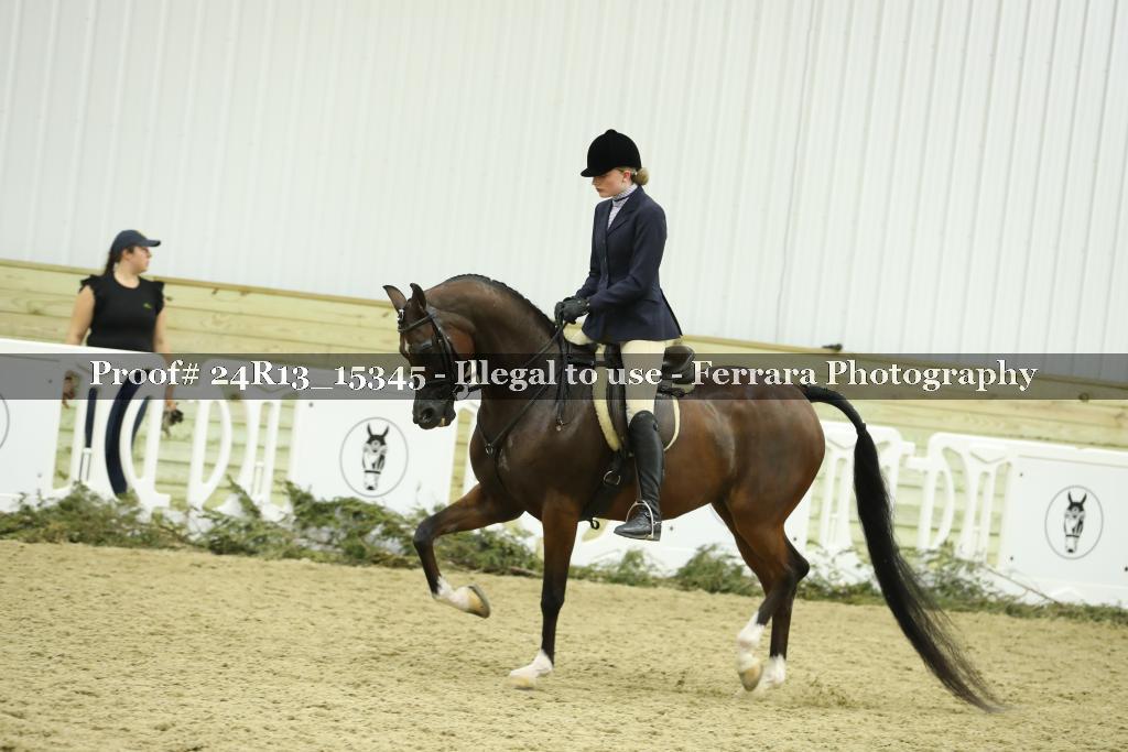 Proof 24R13_15345