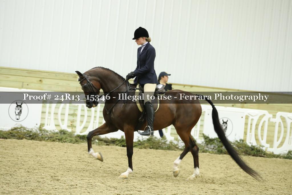 Proof 24R13_15346