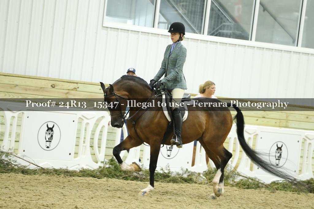 Proof 24R13_15347