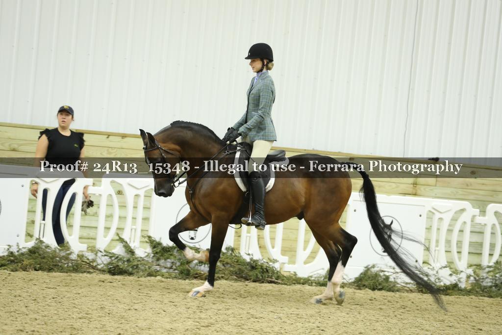 Proof 24R13_15348