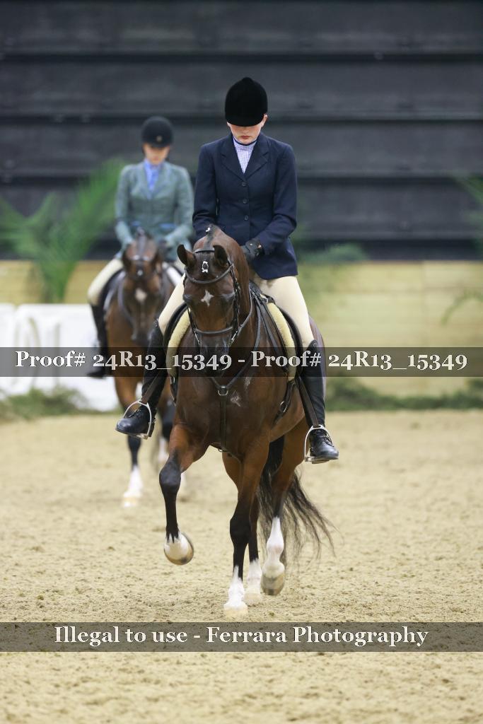 Proof 24R13_15349