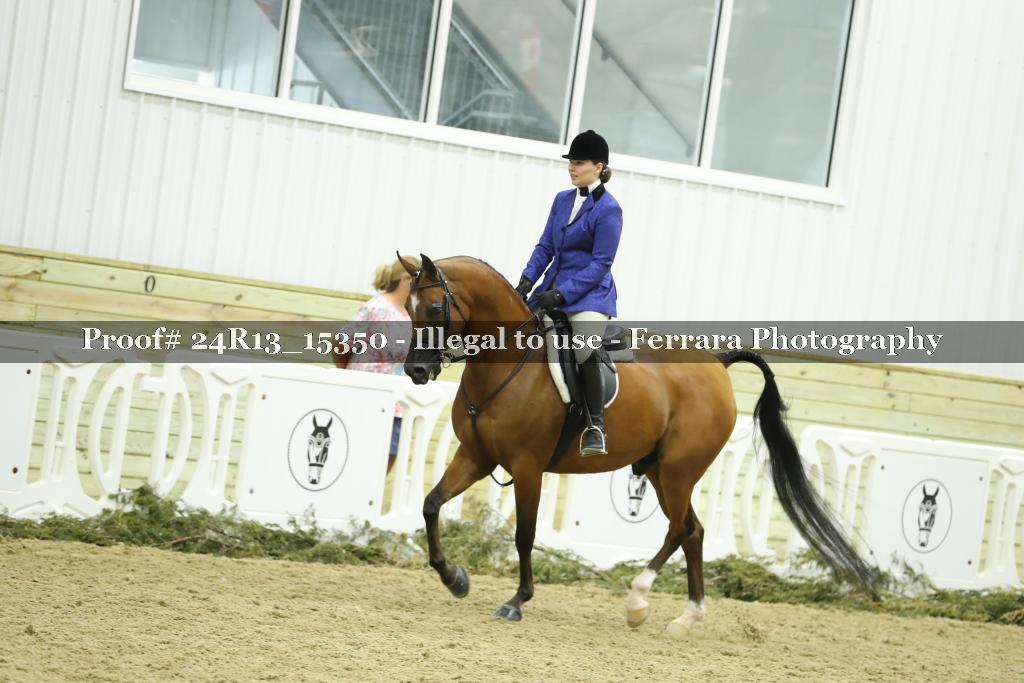 Proof 24R13_15350