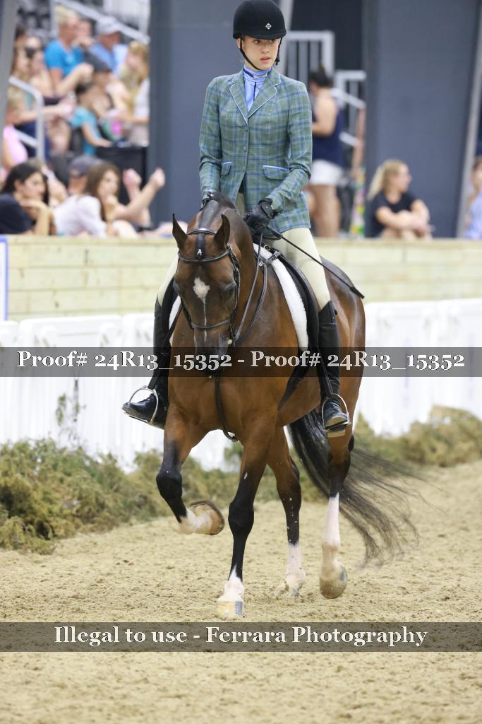 Proof 24R13_15352
