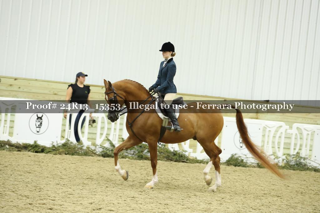Proof 24R13_15353
