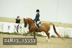 24R13_15353 proof