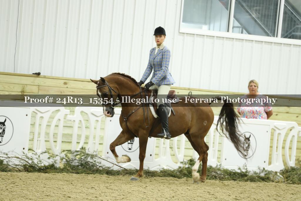Proof 24R13_15354