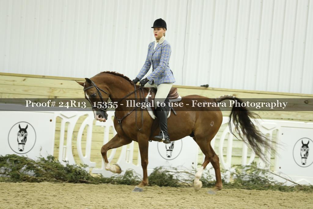 Proof 24R13_15355