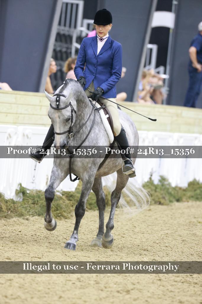 Proof 24R13_15356