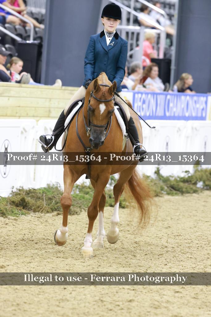 Proof 24R13_15364