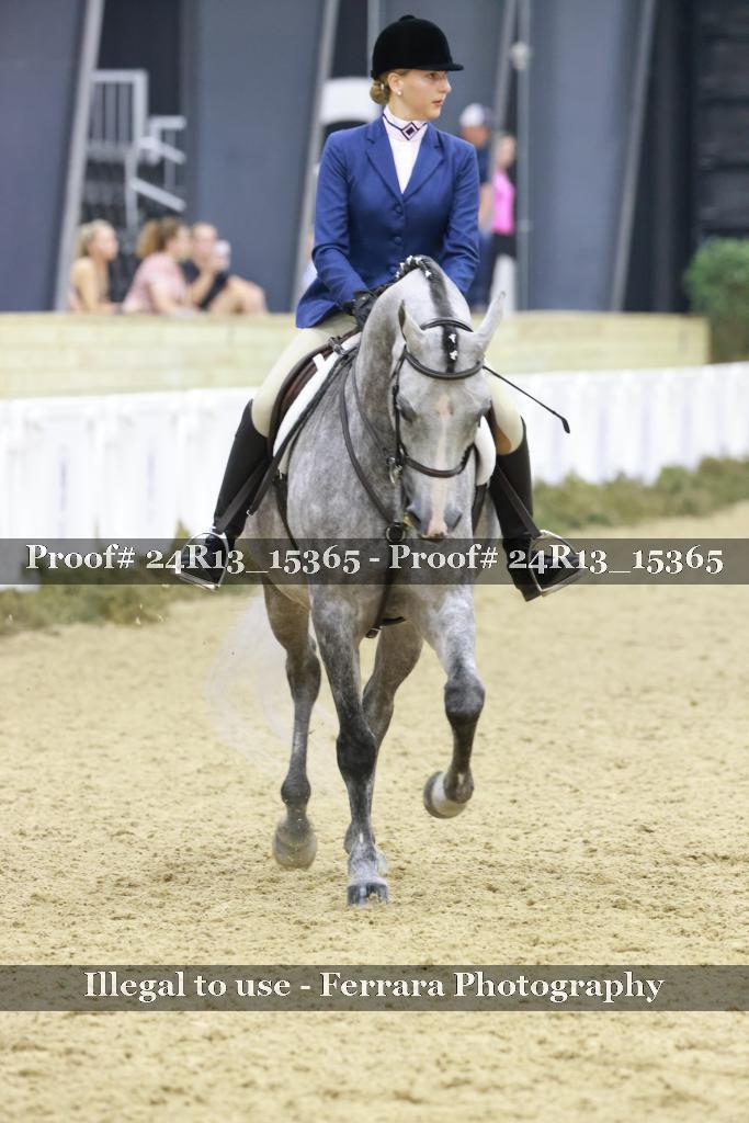Proof 24R13_15365