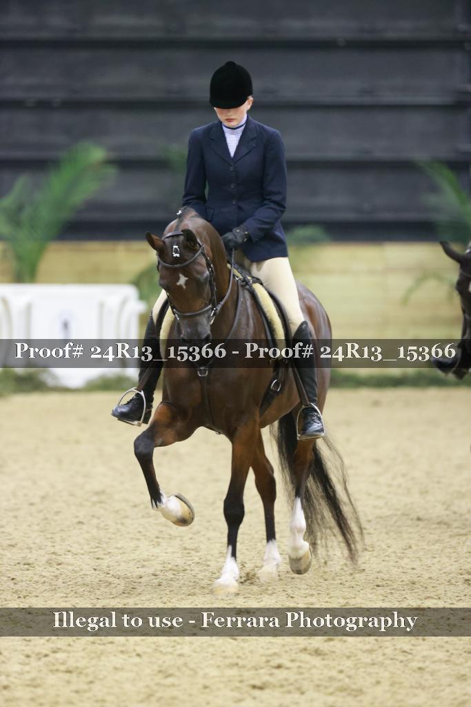 Proof 24R13_15366
