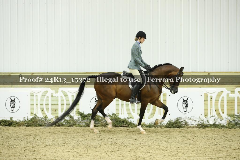 Proof 24R13_15372