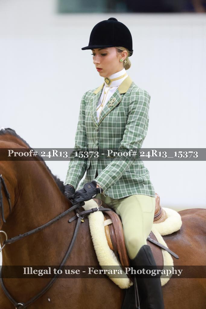 Proof 24R13_15373