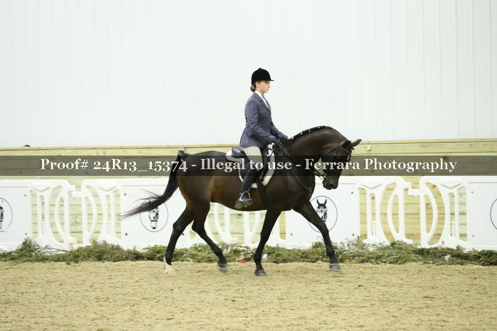 Proof 24R13_15374