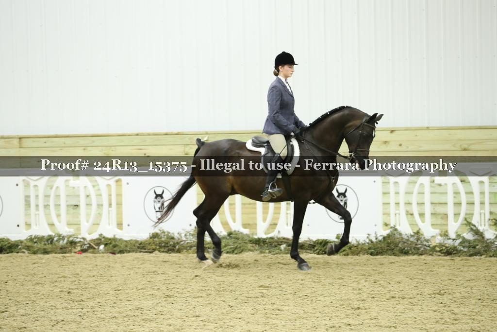 Proof 24R13_15375