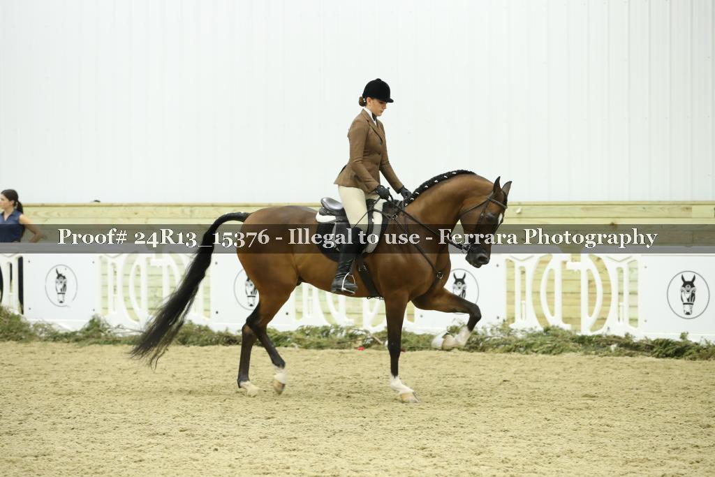 Proof 24R13_15376