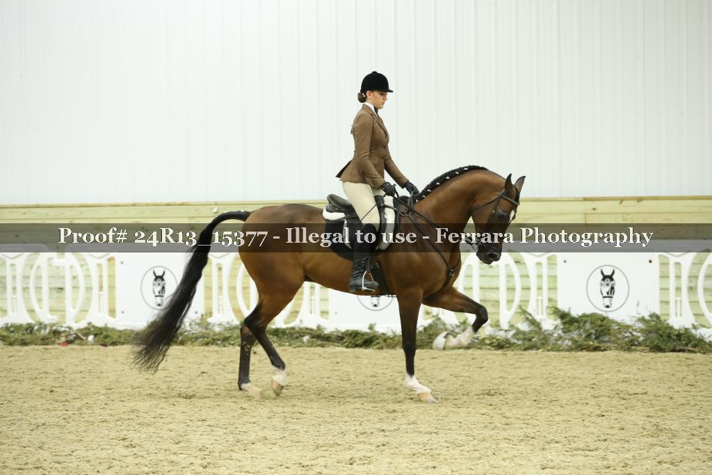 Proof 24R13_15377