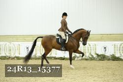 24R13_15377 proof