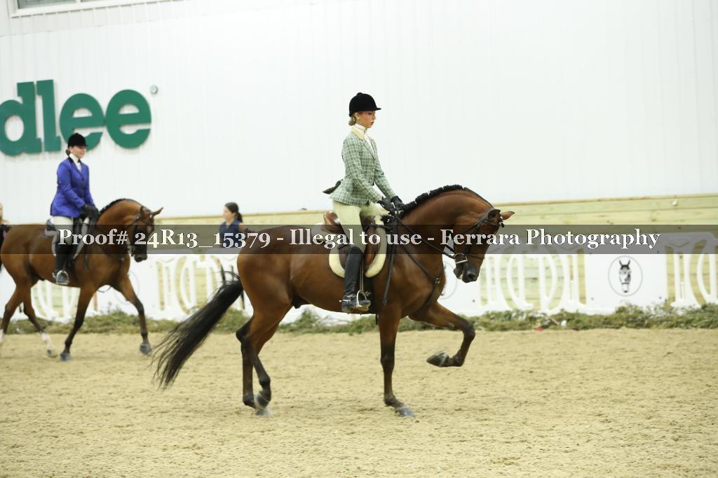 Proof 24R13_15379