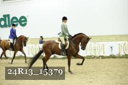 24R13_15379 proof