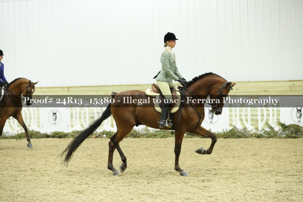 Proof 24R13_15380