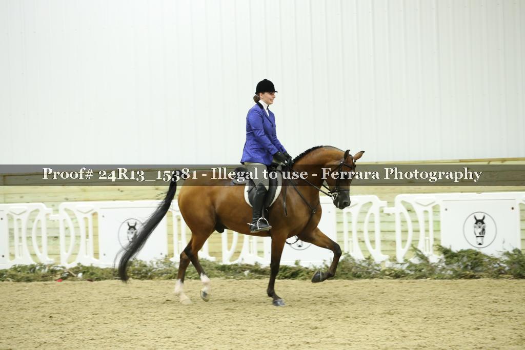 Proof 24R13_15381