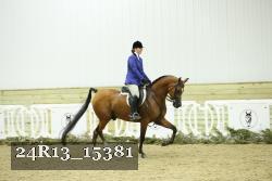24R13_15381 proof