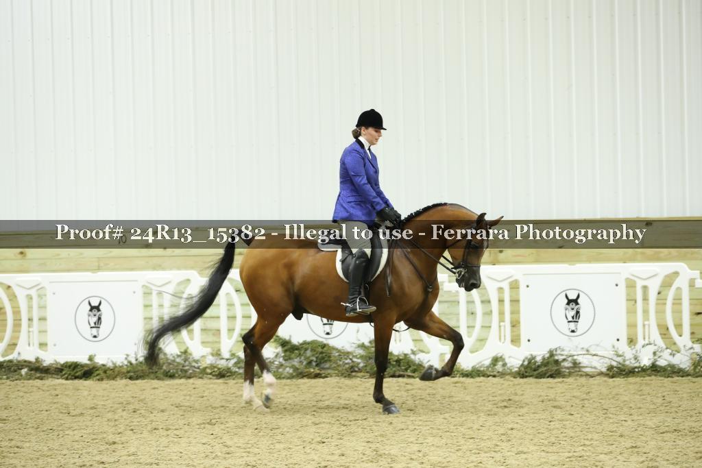 Proof 24R13_15382