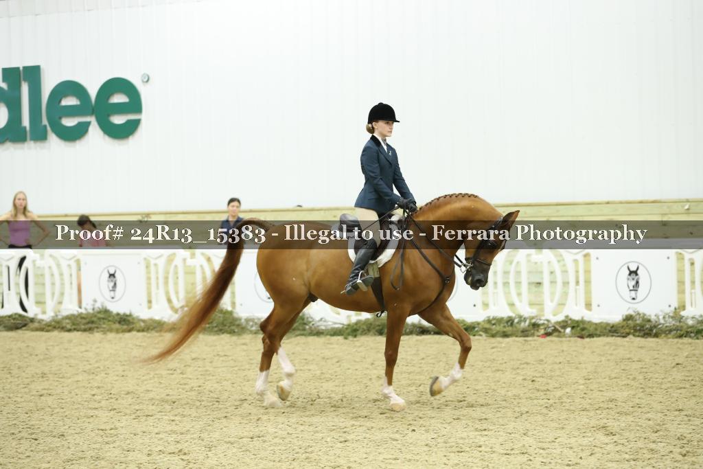 Proof 24R13_15383