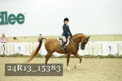 24R13_15383 proof
