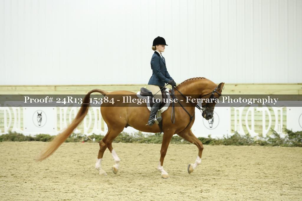 Proof 24R13_15384