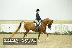 24R13_15384 proof