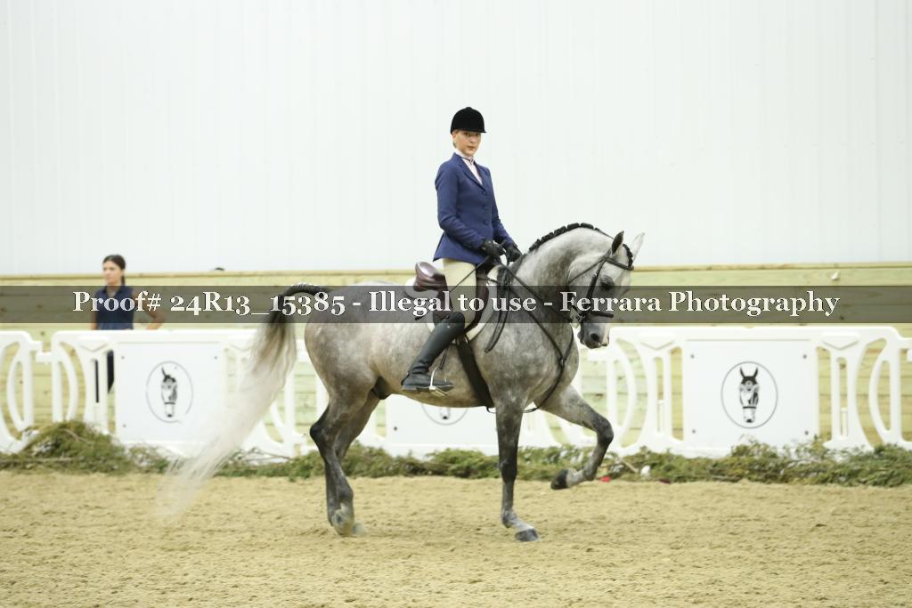 Proof 24R13_15385