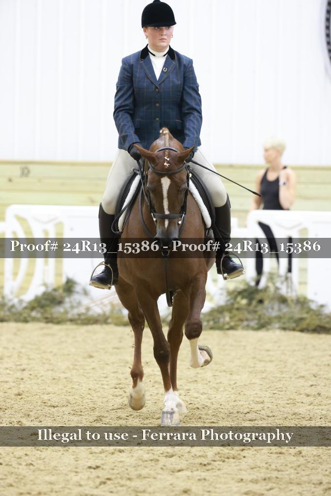 Proof 24R13_15386
