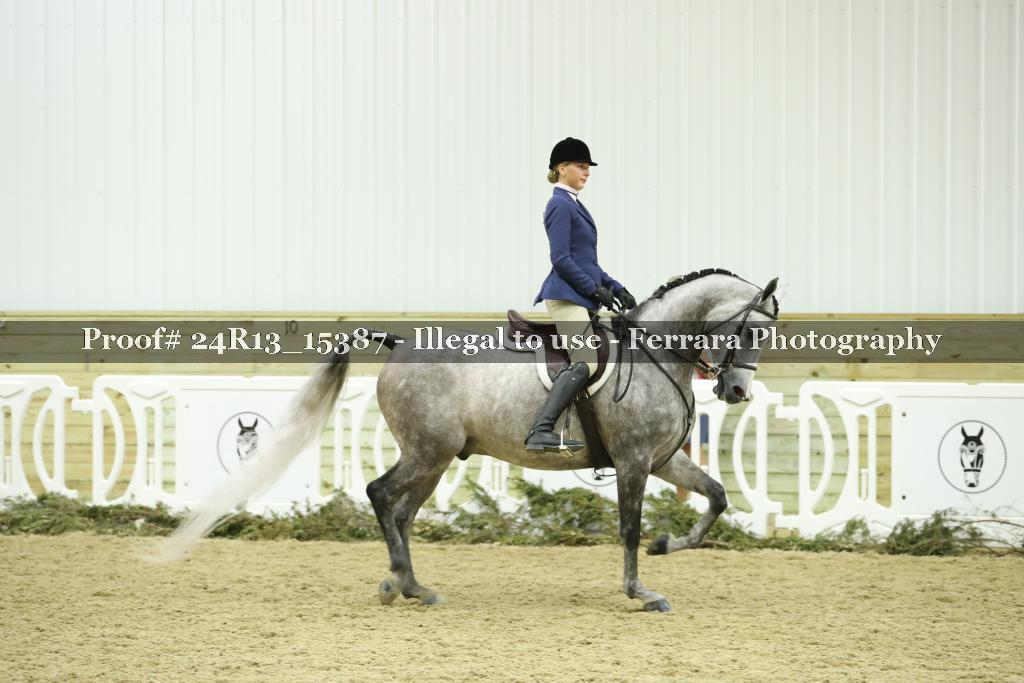 Proof 24R13_15387