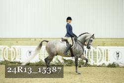 24R13_15387 proof